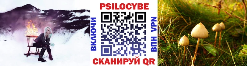 Псилоцибиновые грибы Magic Shrooms shop клад Кропоткин